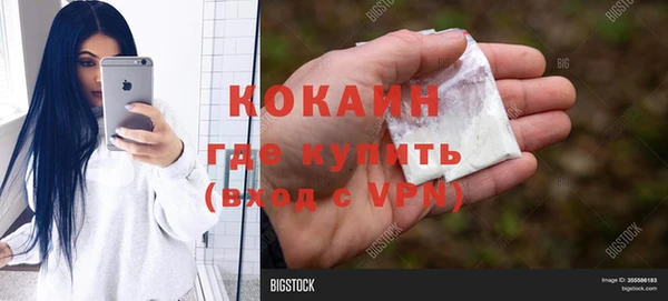 гидра Алексин