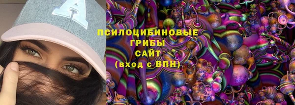 гидра Алексин