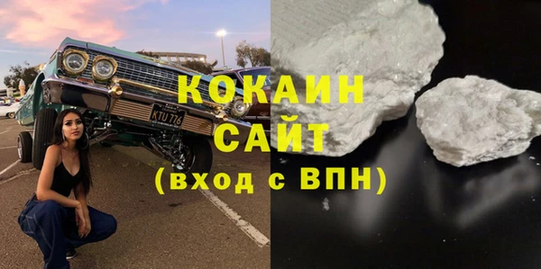 гидра Алексин