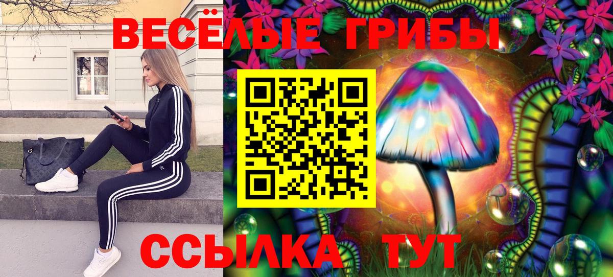 Галлюциногенные грибы ЛСД Клинцы
