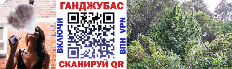МАРИХУАНА Ganja продажа наркотиков Клинцы